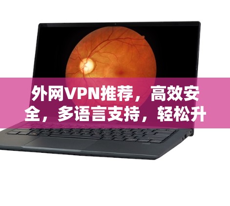 外网VPN推荐，高效安全，多语言支持，轻松升级