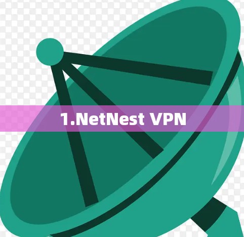 1.NetNest VPN