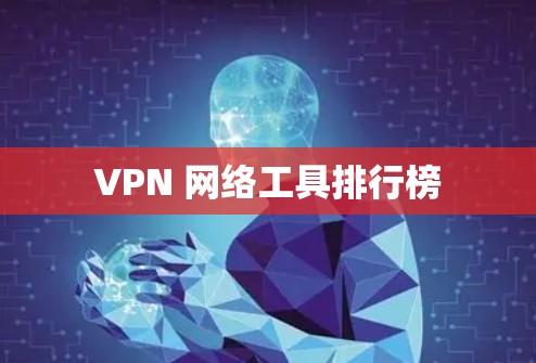 VPN 网络工具排行榜