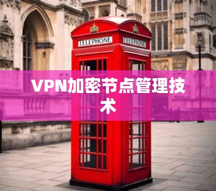 VPN加密节点管理技术