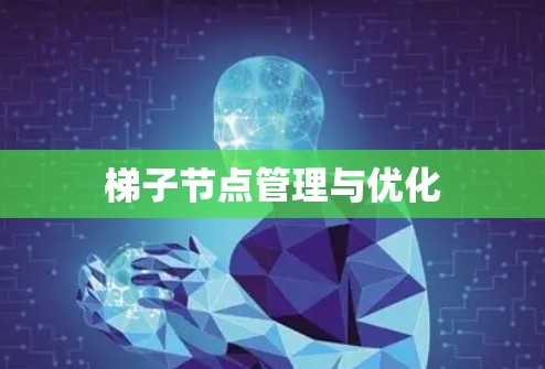 梯子节点管理与优化