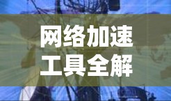 <strong>网络加速</strong>工具全解析