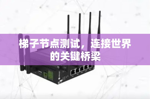 梯子节点测试，连接世界的关键桥梁